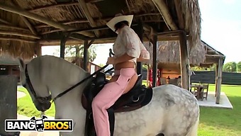 Rachel Starr'S Skills In Riding Penis And Horse Both Impressive